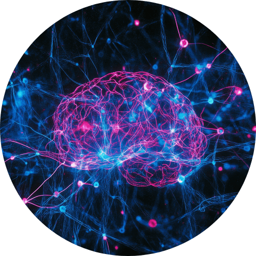 Science of Neuroplasticity